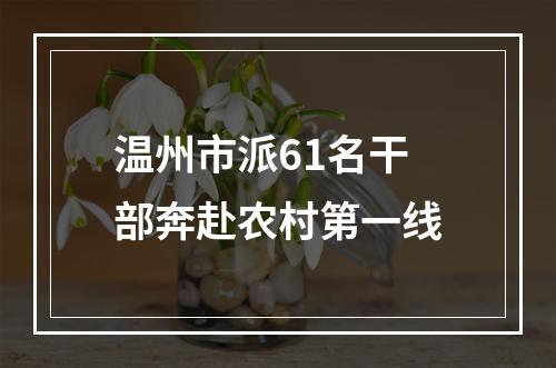 温州市派61名干部奔赴农村第一线