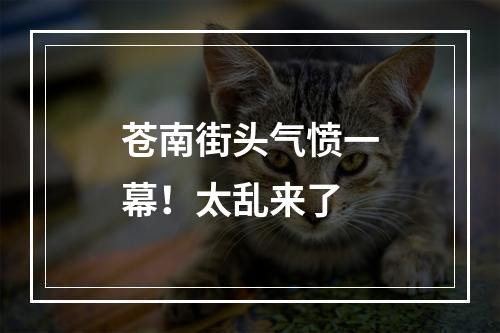 苍南街头气愤一幕！太乱来了