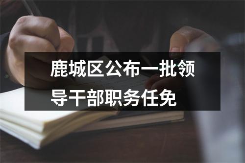 鹿城区公布一批领导干部职务任免
