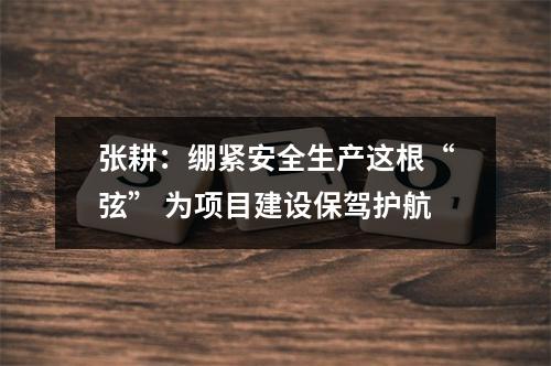 张耕：绷紧安全生产这根“弦” 为项目建设保驾护航