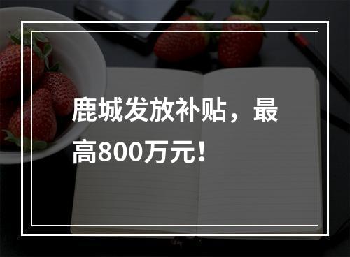 鹿城发放补贴，最高800万元！