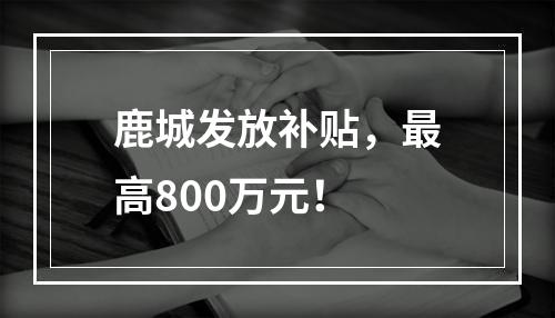 鹿城发放补贴，最高800万元！