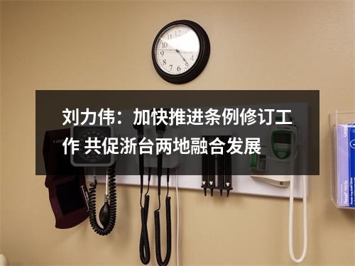 刘力伟：加快推进条例修订工作 共促浙台两地融合发展