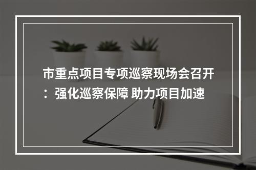 市重点项目专项巡察现场会召开：强化巡察保障 助力项目加速