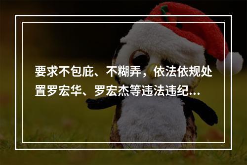 要求不包庇、不糊弄，依法依规处置罗宏华、罗宏杰等违法违纪人员的呼吁