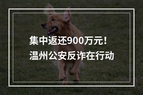 集中返还900万元！温州公安反诈在行动