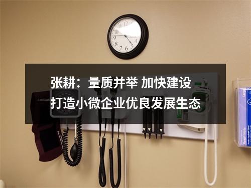 张耕：量质并举 加快建设 打造小微企业优良发展生态