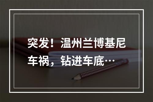 突发！温州兰博基尼车祸，钻进车底…