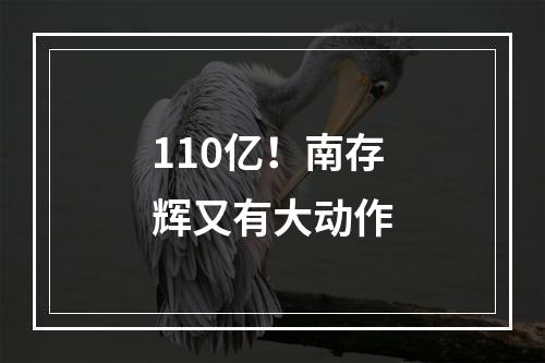 110亿！南存辉又有大动作