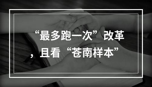 “最多跑一次”改革，且看“苍南样本”