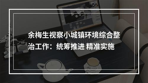 余梅生视察小城镇环境综合整治工作：统筹推进 精准实施
