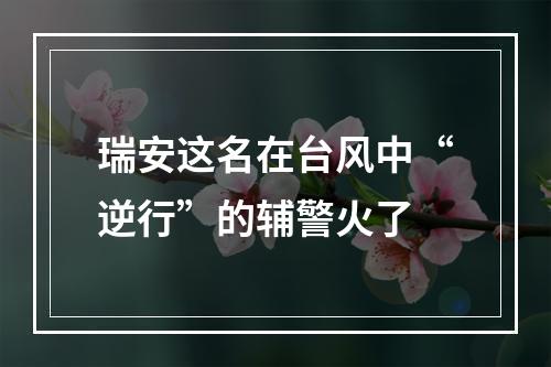 瑞安这名在台风中“逆行”的辅警火了