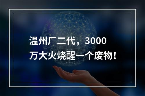 温州厂二代，3000万大火烧醒一个废物！