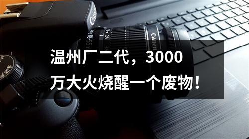 温州厂二代，3000万大火烧醒一个废物！