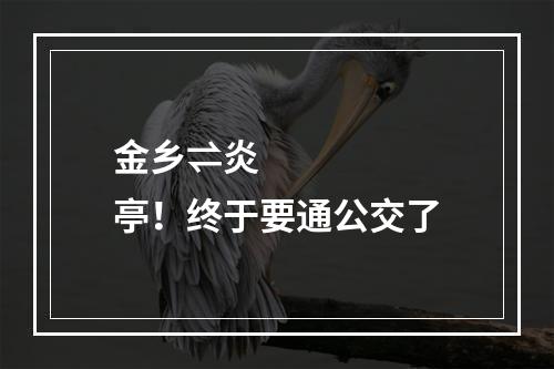 金乡⇌炎亭！终于要通公交了