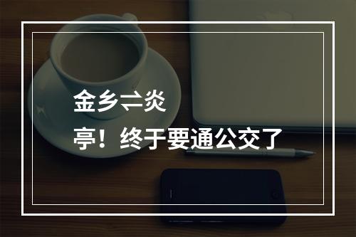 金乡⇌炎亭！终于要通公交了