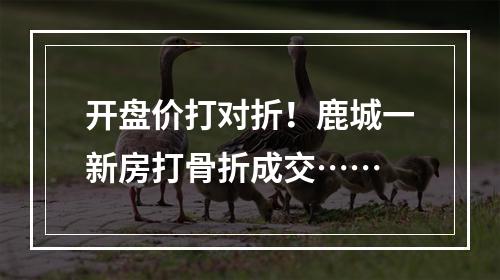 开盘价打对折！鹿城一新房打骨折成交……