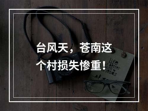 台风天，苍南这个村损失惨重！