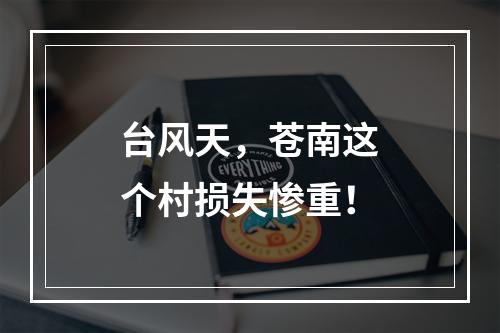 台风天，苍南这个村损失惨重！