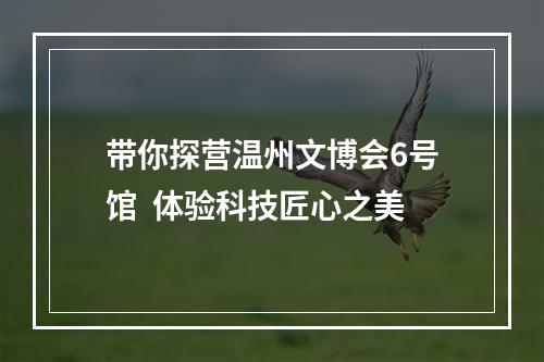 带你探营温州文博会6号馆  体验科技匠心之美