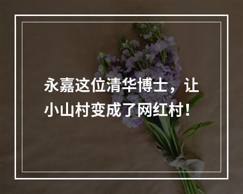 永嘉这位清华博士，让小山村变成了网红村！