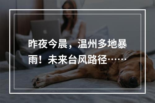 昨夜今晨，温州多地暴雨！未来台风路径……
