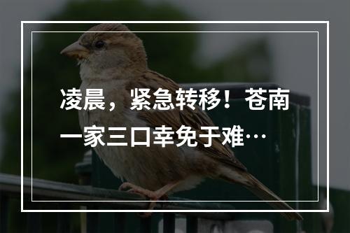 凌晨，紧急转移！苍南一家三口幸免于难…