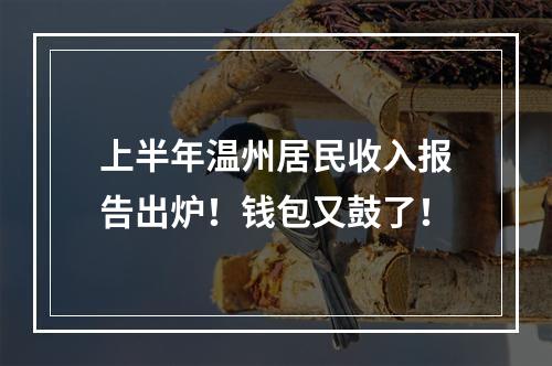 上半年温州居民收入报告出炉！钱包又鼓了！
