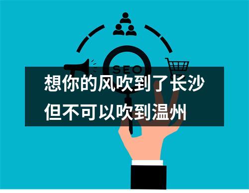 想你的风吹到了长沙但不可以吹到温州