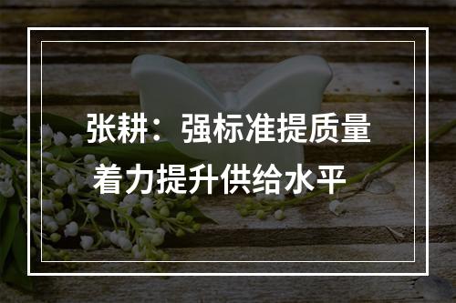 张耕：强标准提质量 着力提升供给水平