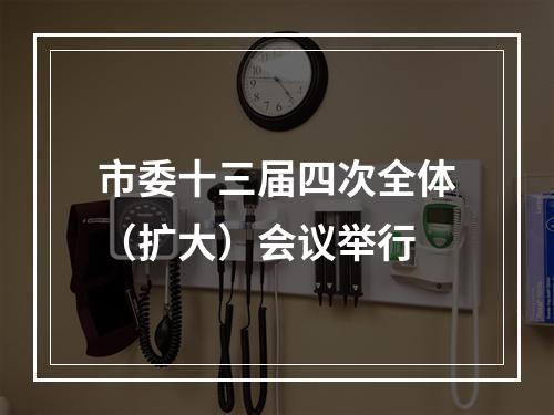 市委十三届四次全体（扩大）会议举行
