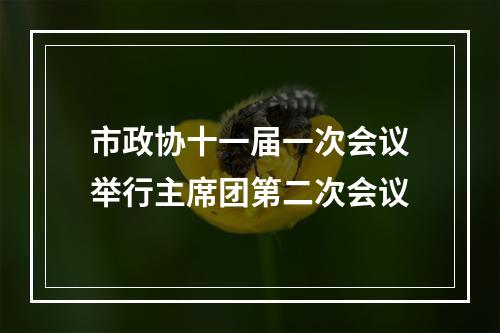 市政协十一届一次会议举行主席团第二次会议