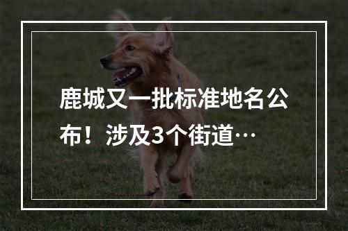 鹿城又一批标准地名公布！涉及3个街道…