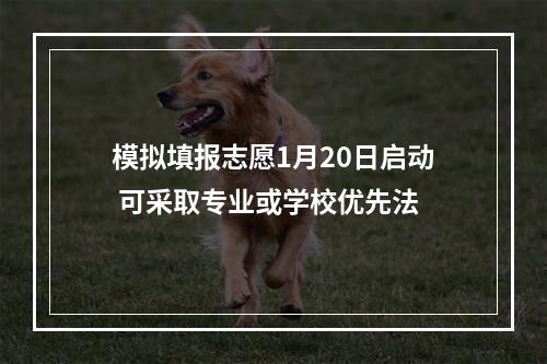 模拟填报志愿1月20日启动 可采取专业或学校优先法