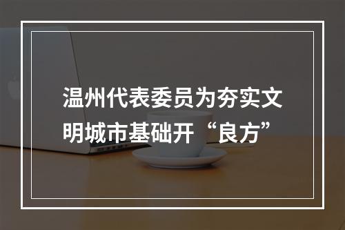 温州代表委员为夯实文明城市基础开“良方”