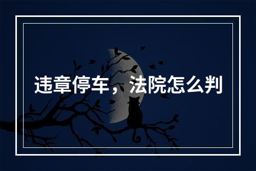 违章停车，法院怎么判