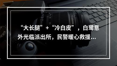 “大长腿”+“冷白皮”，白鹭意外光临派出所，民警暖心救援...