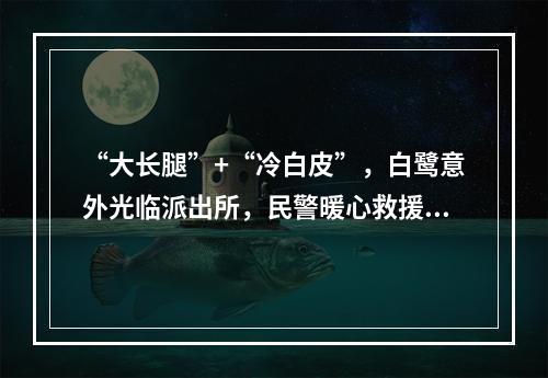 “大长腿”+“冷白皮”，白鹭意外光临派出所，民警暖心救援...