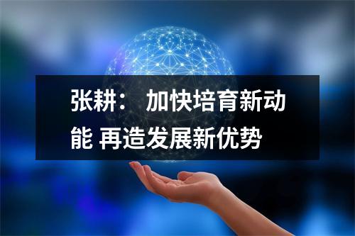 张耕： 加快培育新动能 再造发展新优势