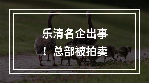 乐清名企出事！总部被拍卖