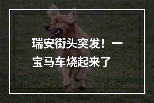 瑞安街头突发！一宝马车烧起来了