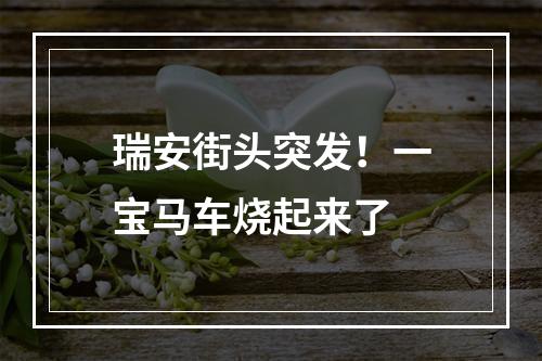 瑞安街头突发！一宝马车烧起来了