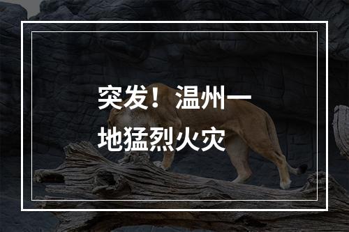 突发！温州一地猛烈火灾