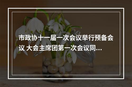 市政协十一届一次会议举行预备会议 大会主席团第一次会议同日召开