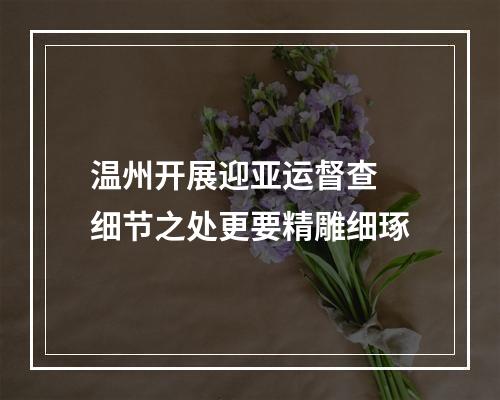 温州开展迎亚运督查 细节之处更要精雕细琢