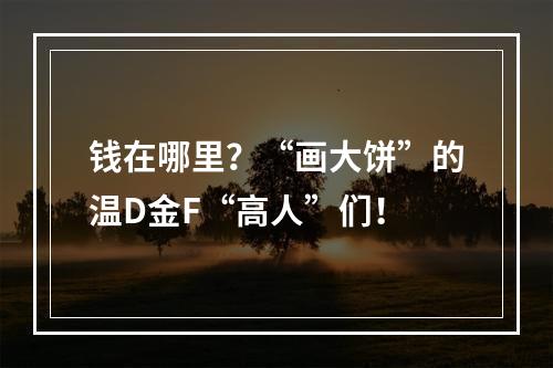 钱在哪里？“画大饼”的温D金F“高人”们！