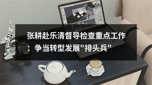 张耕赴乐清督导检查重点工作：争当转型发展