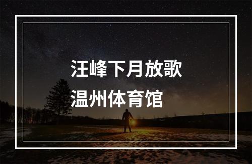 汪峰下月放歌温州体育馆