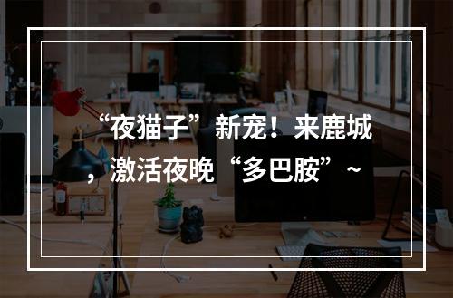 “夜猫子”新宠！来鹿城，激活夜晚“多巴胺”~