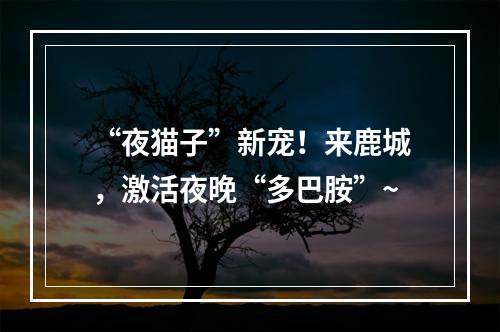 “夜猫子”新宠！来鹿城，激活夜晚“多巴胺”~